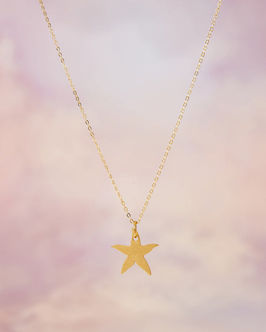 Sterling Silver Gold Plated Necklace with Raw Brass Starfish Charm
